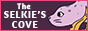 the selkie's cove